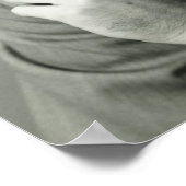 ビジネスマン喫煙葉巻 ポスター (角)