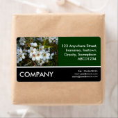 ビジネス写真 – さくらんぼBlossom ラベル (インサイチュ)