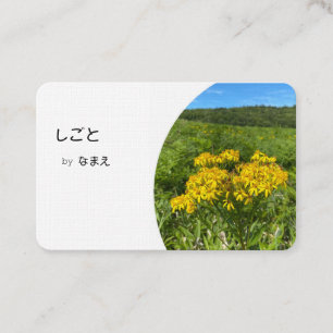 ビジネス名刺―写真差し替えできます 名刺