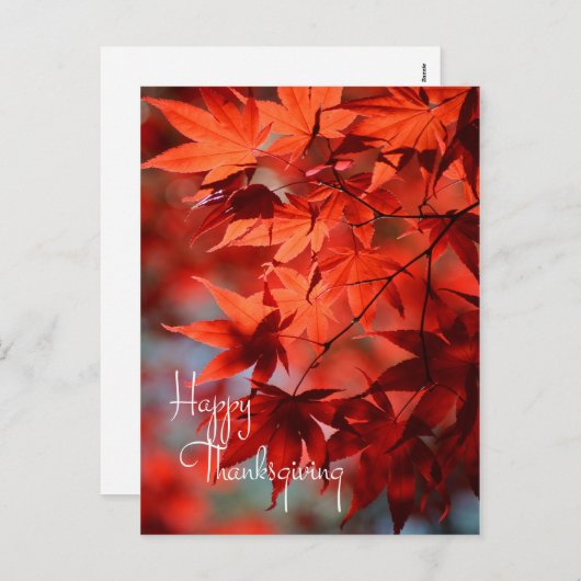 ビジネス感謝はがき/赤紅葉 シーズンポストカード (正面/裏面)