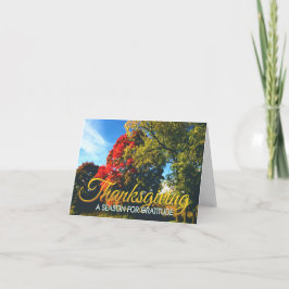 ビジネス感謝祭カード17 シーズンカード