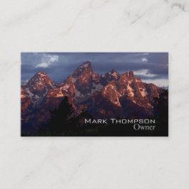 ビジネスTetonsカード紫色 名刺