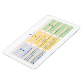 ビジュアル動詞グラフ マグネット (左側)