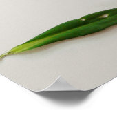 ビジュアル提案タイポグラフィポスター集 ポスター (角)