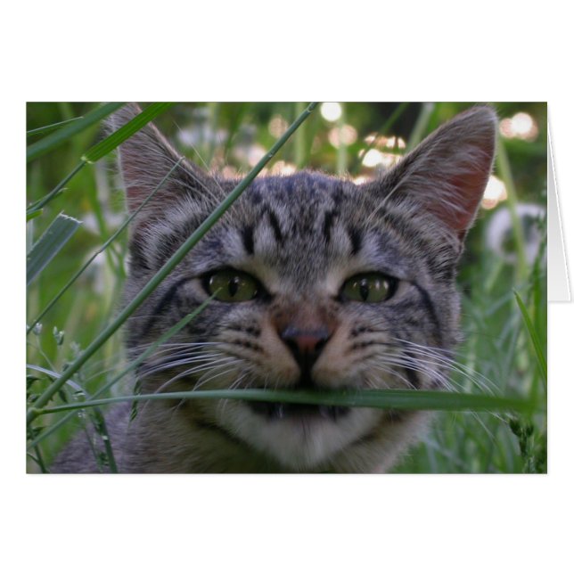 ビジョウグラス (正面横)