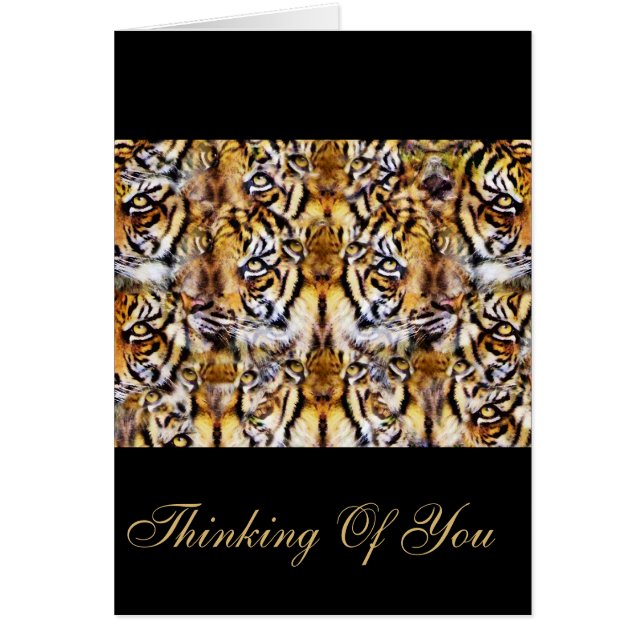 ビジョン_ (正面)