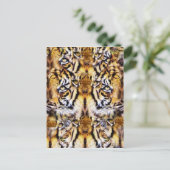 ビジョン_ ポストカード (スタンド正面)