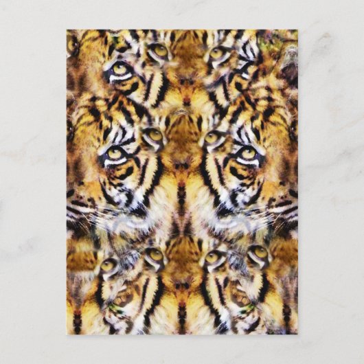 ビジョン_ ポストカード (正面)