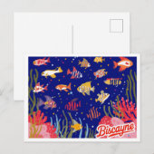 ビスカイン国立公園のサンゴ礁の魚のイラスト ポストカード (正面/裏面)