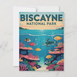 ビスカイン国立公園 フロリダの海を探索 ポストカード