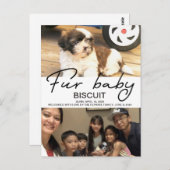 ビスキット - ようこそ ポストカード (正面/裏面)