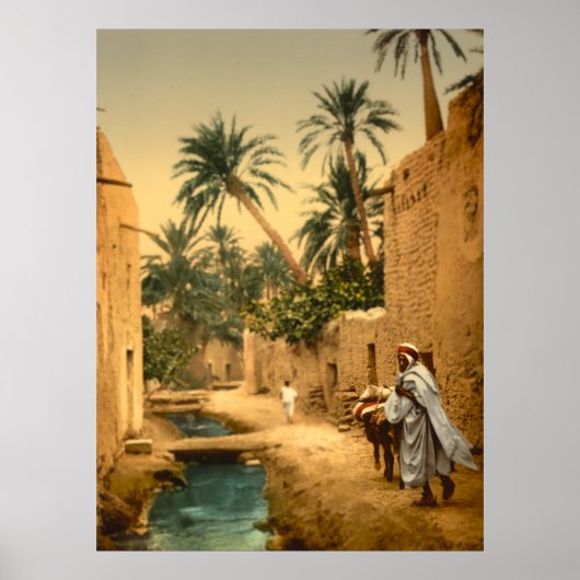 ビスクラお洒落アルジェリアのポスターのレンディション ポスター (正面)