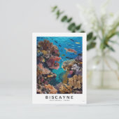 ビスケインナショナルパークコーラル ポストカード (スタンド正面)