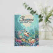 ビスケインナショナルパークフロリダタートルコーラルレトロ ポストカード (スタンド正面)