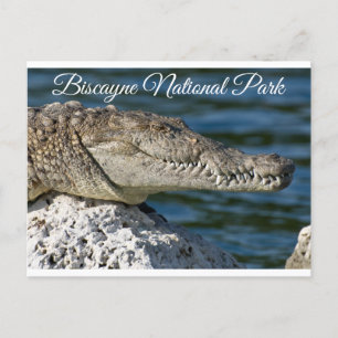 ビスケインベイパークマイアミビーチフロリダポストカード ポストカード