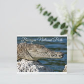 ビスケインベイパークマイアミビーチフロリダポストカード ポストカード (スタンド正面)