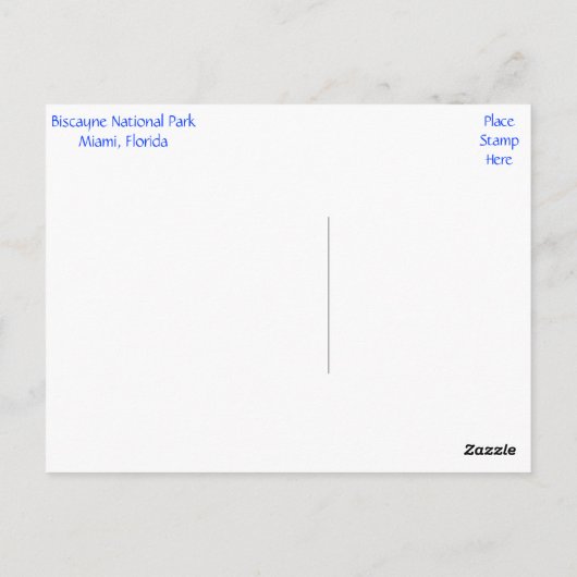 ビスケインベイパークマイアミビーチフロリダポストカード ポストカード (裏面)