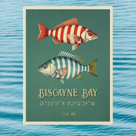 ビスケインベイフロリダ魚はがき ポストカード