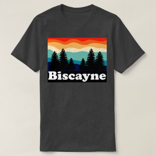 ビスケイン国立公園フロリダ Tシャツ (デザイン正面)