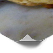 ビスケットとグレービー ポスター (角)