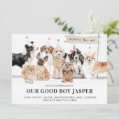 ビスケット&アップケーキ犬の誕生日パーティー 招待状 (スタンド正面)