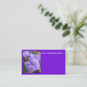 ビスコウンテス 名刺 (スタンド正面)