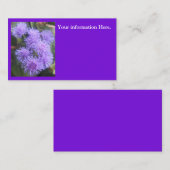 ビスコウンテス 名刺 (正面/裏面)