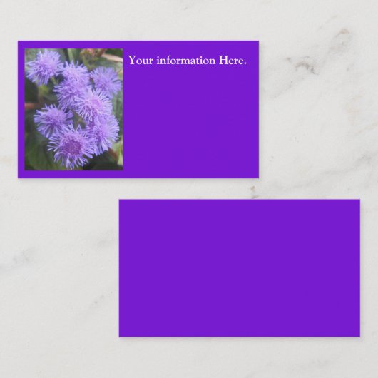 ビスコウンテス 名刺 (正面/裏面)