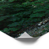 ビスコサ6 ポスター (角)