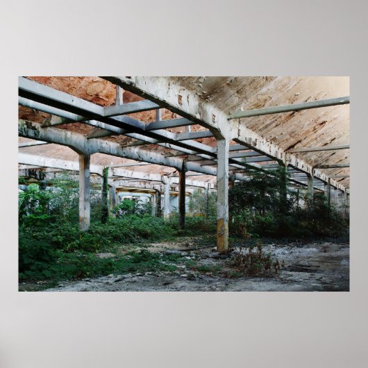 ビスコサ6 ポスター (正面)