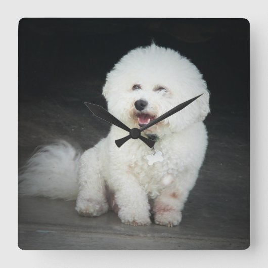 ビスチョンフリースウォールクロック スクエア壁時計 (正面)