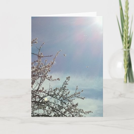 ビズジーベッツ カード (正面)