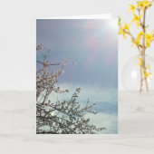 ビズジーベッツ カード (黄色い花)