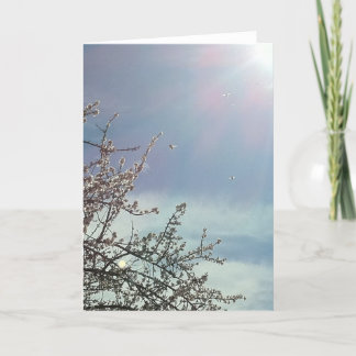 ビズジーベッツ カード