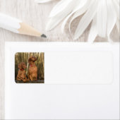 ビズスラグループ ラベル (インサイチュ)