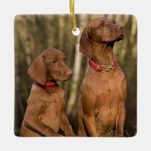 ビズスラハウンドドッグス セラミックオーナメント (正面)