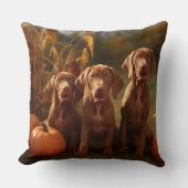 ビズスラパピーオータムデライトカボチャ クッション (正面)