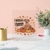 ビズスラパンプキンパッチ愛犬家感謝祭ハロ アクリルサイン (ウェディング)