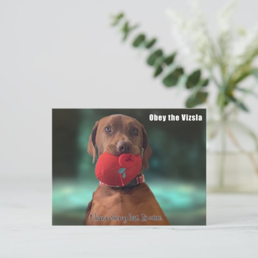 ビズラに従う ポストカード (スタンド正面)