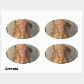 ビズラパピー 楕円形シール (シート)