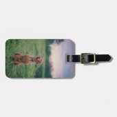 ビズラ座 ラゲッジタグ (正面横)