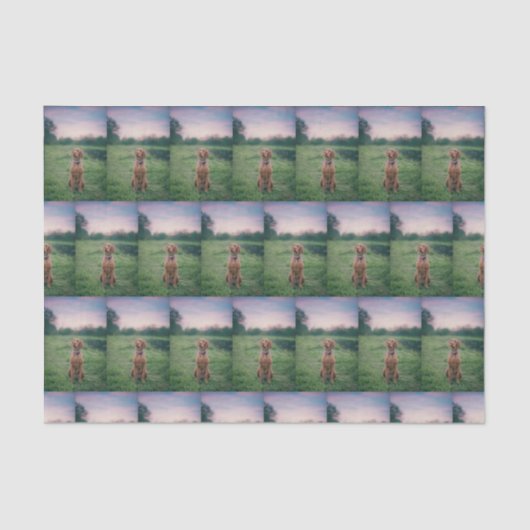 ビズラ座 薄葉紙 (正面)