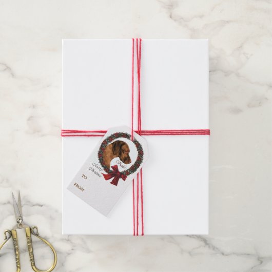 ビズラ愛好家クリスマス ギフトタグ (より糸付き)