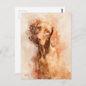 ビズラ水色 ポストカード (正面/裏面)