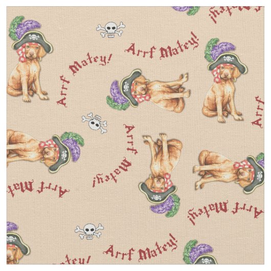 ビズラ海賊織物 ファブリック (クローズアップ)