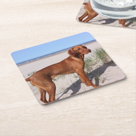 ビズラ満杯の スクエアペーパーコースター (アングル)