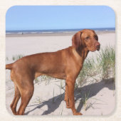 ビズラ満杯の スクエアペーパーコースター (正面)