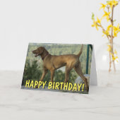 ビズラ犬の誕生日カード カード (黄色い花)