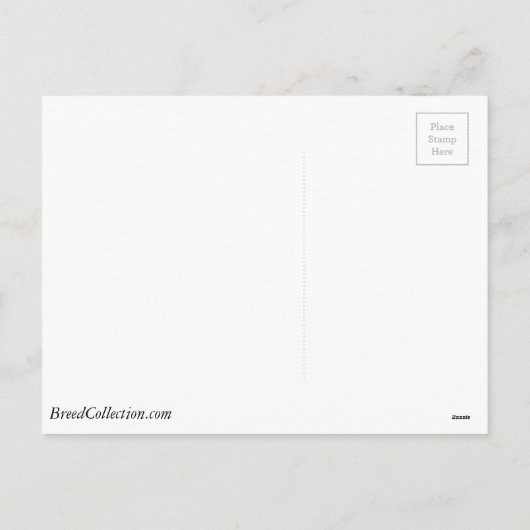 ビズラ狩りドッグクリスマスカーを運転 シーズンポストカード (裏面)