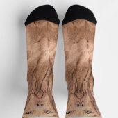 ビズラ絵画ズ – かわいいオリジナルドッグアート ソックス (上部)